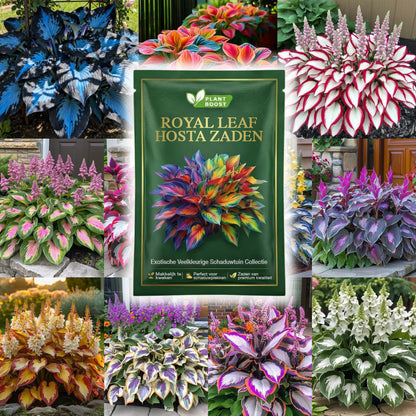 Floravé –  Hosta Zaden