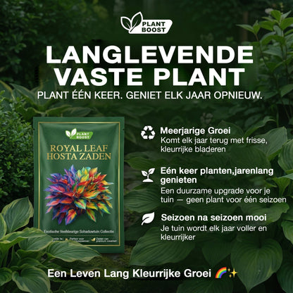 Floravé –  Hosta Zaden